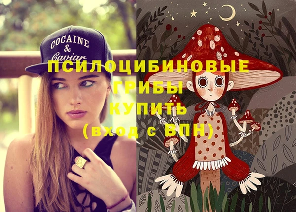 spice Алзамай