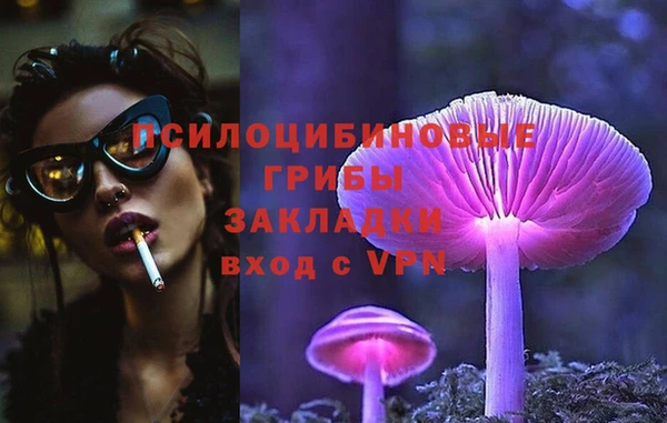 не бодяженный Алексин